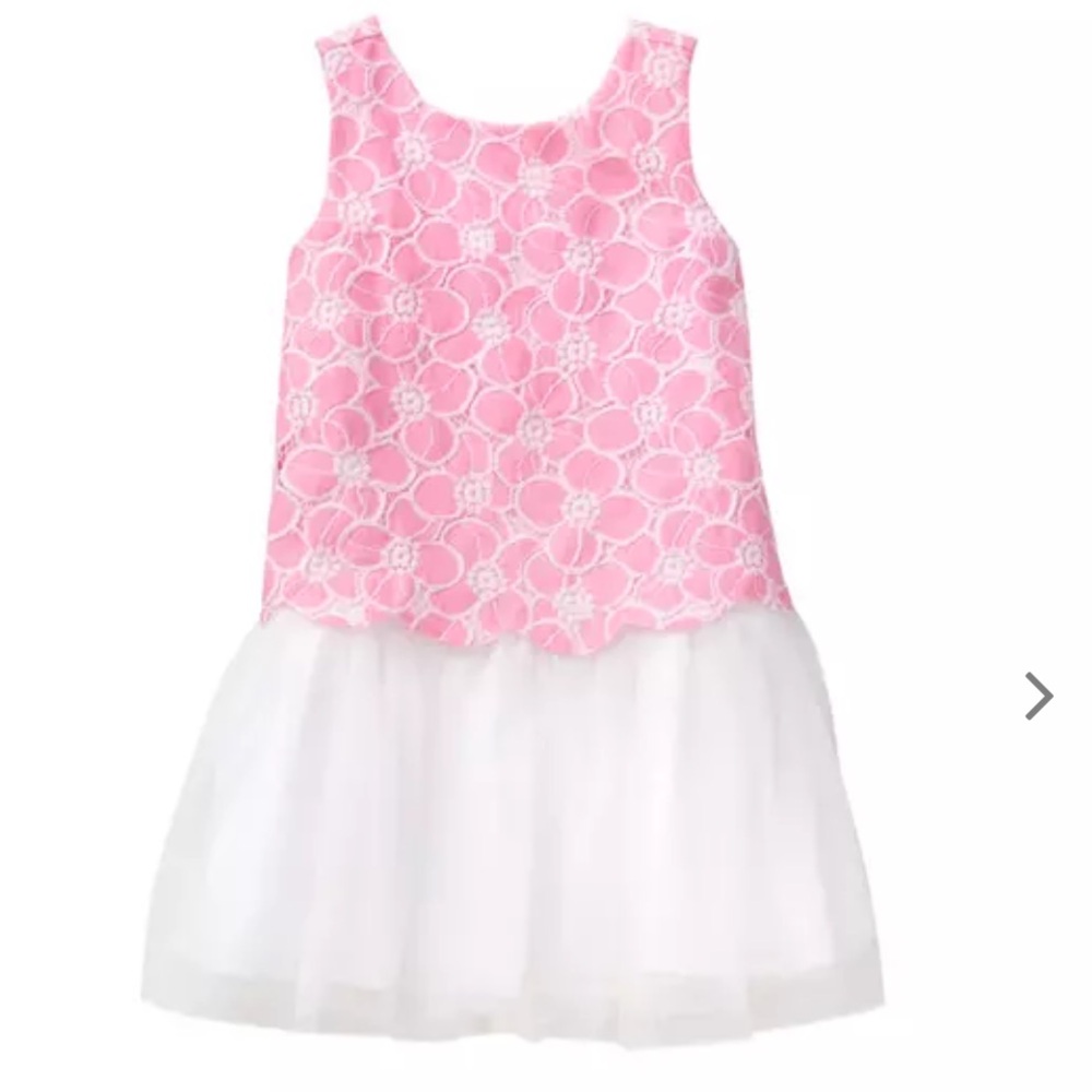Janie and Jack pink scalloped lace tutu tulle dress size 4 ALL ABLOOM